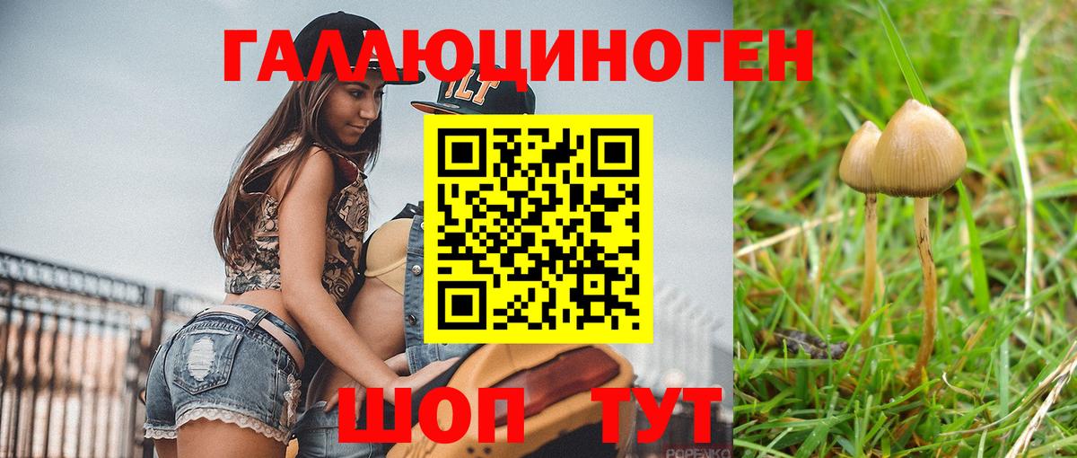 Галлюциногенные грибы Psilocybine cubensis  Вход с VPN  Галлюциногенные грибы Cubensis  Хасавюрт 